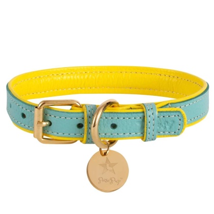 Sunshine Babe - Dog Collar  - Small