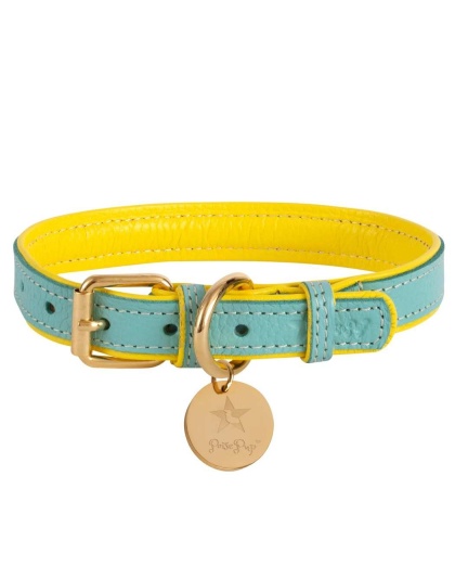 Sunshine Babe - Dog Collar  - Small