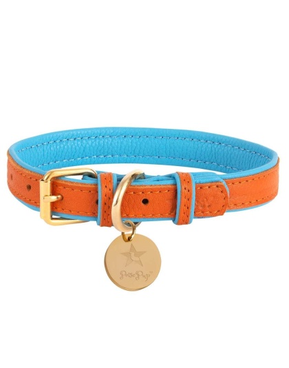 Vibrant Sunset - Dog Collar  - Medium