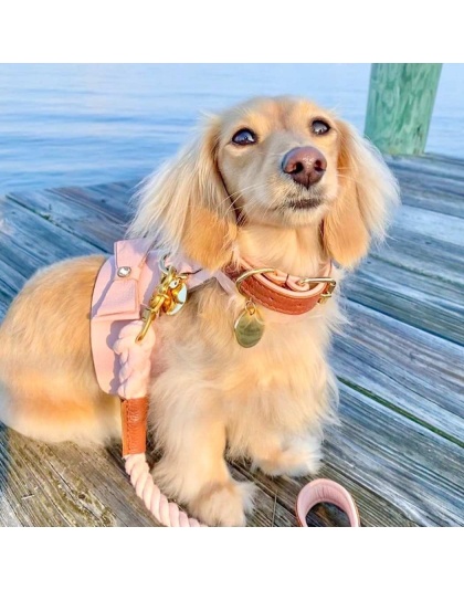 Bella Rose - Dog Harness  - XS