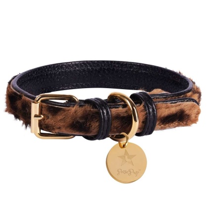 Wildest One - Dog Collar  - XL