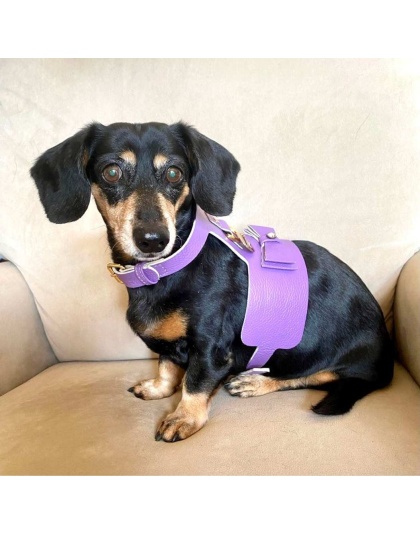 Lavish Lavender - Dog Harness  - Small