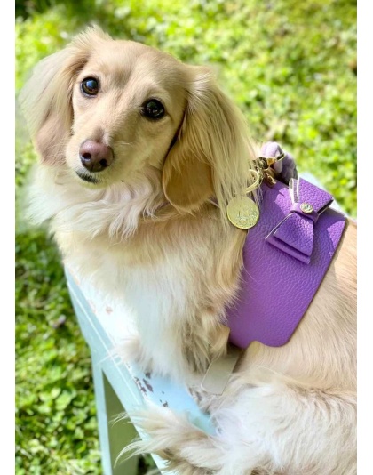 Lavish Lavender - Dog Harness  - XS