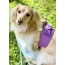 Lavish Lavender - Dog Harness  - Medium