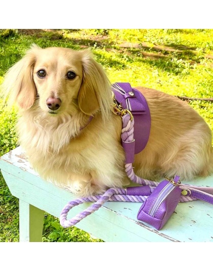 Lavish Lavender - Dog Harness  - Medium