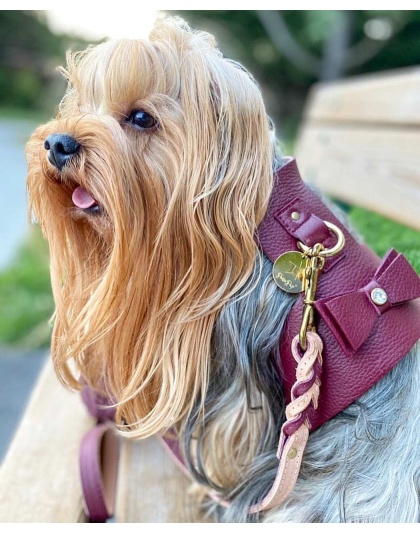 Luscious Bow - Dog Harness  - Medium