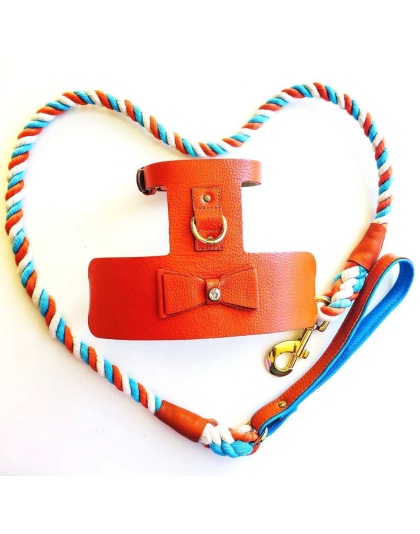 Vibrant Sunset - Dog Harness  - Medium