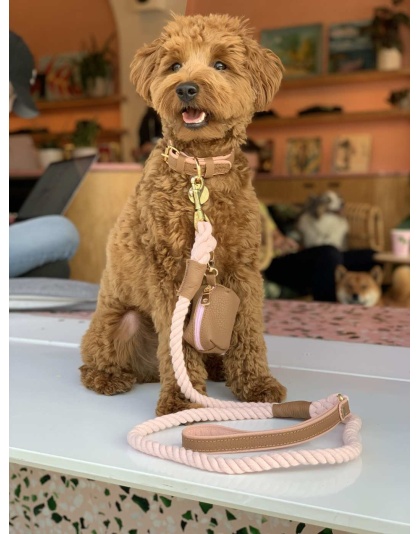 Bella Rose - Dog Leash