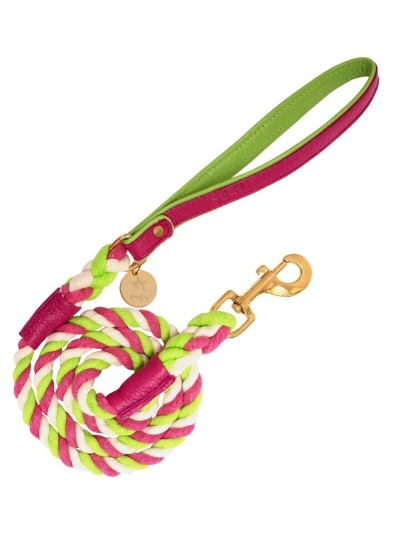 Candy Swirl - Dog Leash