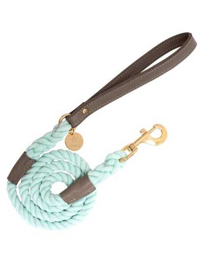 Desert Mint - Dog Leash