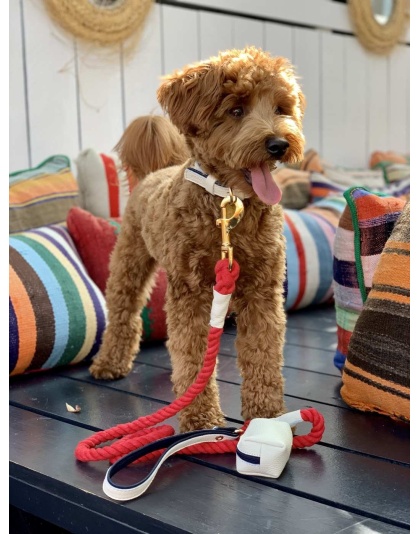 Hot Marine - Dog Leash