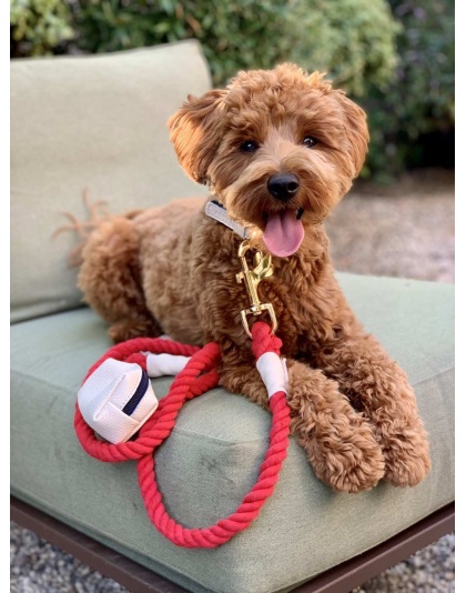 Hot Marine - Dog Leash