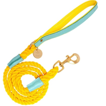 Sunshine Babe - Dog Leash