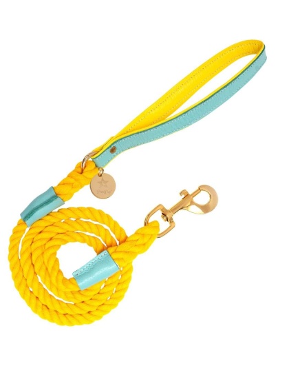 Sunshine Babe - Dog Leash