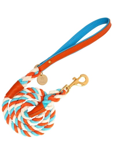 Vibrant Sunset - Dog Leash