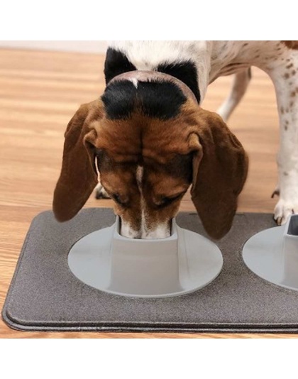 Ear-Clear - Pet Feeding Station