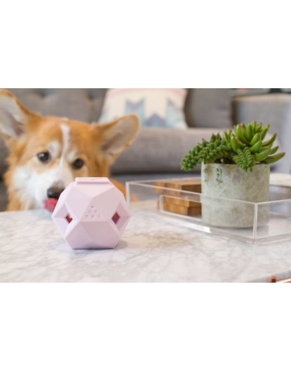 Rose Quartz - The Odin - Modern Treat Dispensing Dog Puzzle