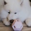 Light Grey - The Odin - Modern Treat Dispensing Dog Puzzle