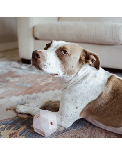 Rose Quartz - The Odin - Modern Treat Dispensing Dog Puzzle