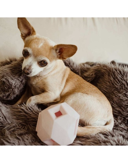 Rose Quartz - The Odin - Modern Treat Dispensing Dog Puzzle