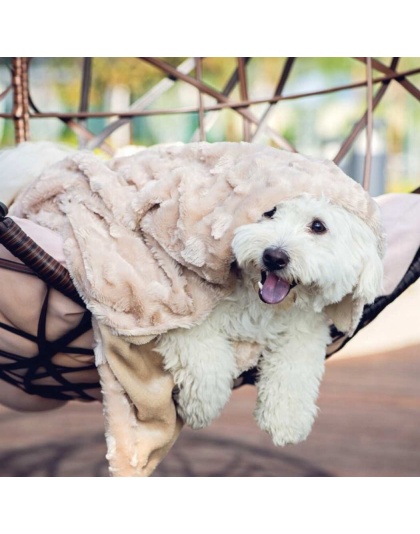 Velvet Blanky Pet Blanket - large