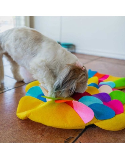 Fish - Snuffle Mat Puzzle Pad