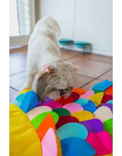 Fish - Snuffle Mat Puzzle Pad