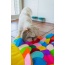 Fish - Snuffle Mat Puzzle Pad