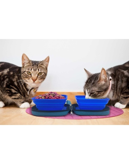 Blue - Portabowl Water and Food Bowl