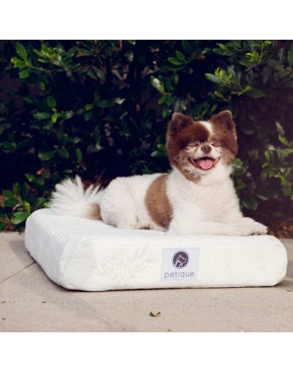 Bamboo Memory Foam Pet Bed - Small