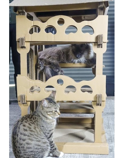 Feline Chateau Cat House