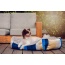 Golden Waves Reversible Pet Bed - SMALL