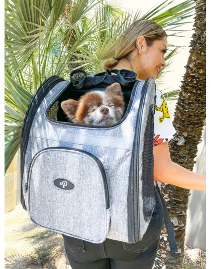 Glacier - The Backpacker Pet Carrier