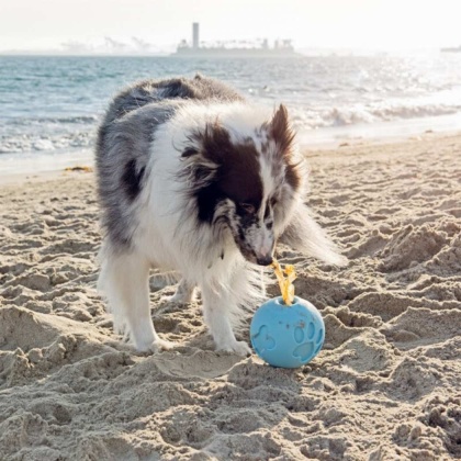 Blue - Paw Me! Treat Ball Dispenser