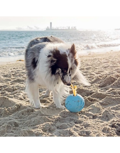 Blue - Paw Me! Treat Ball Dispenser