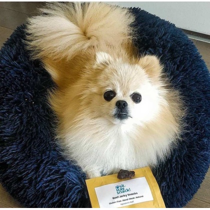 Blue - Marshmallow Pets Bed -  XS