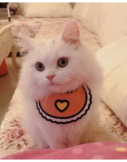 Pink - Love Bibs for Pets -