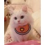 Pink - Love Bibs for Pets -