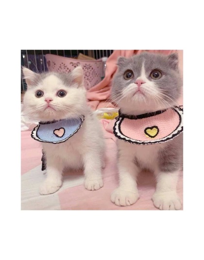 Pink - Love Bibs for Pets -