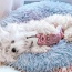 White - Marshmallow Pets Bed -  Small