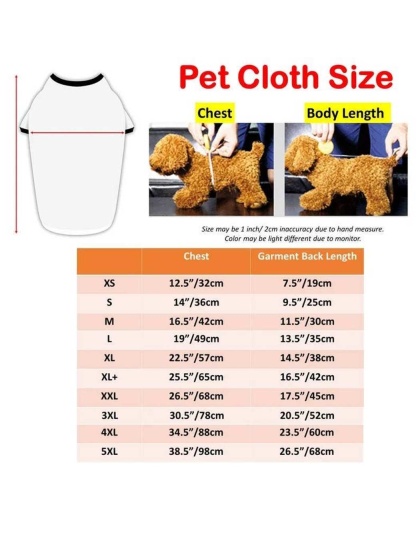 Beige - Dinosaur Love - Matching Pet and Owner Clothing Set -   XL