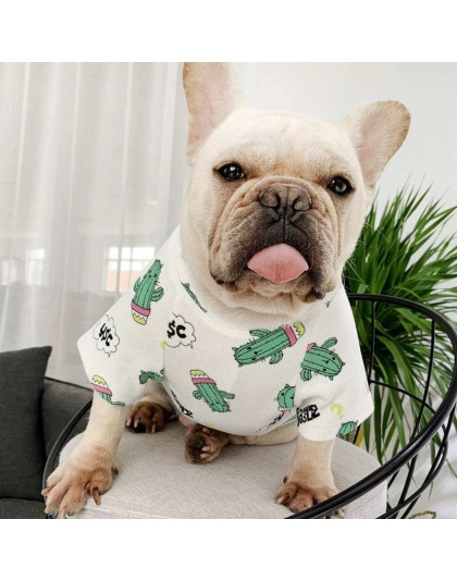 White - Green Dinosaur - Matching Pet and Owner Clothing Set -   Med