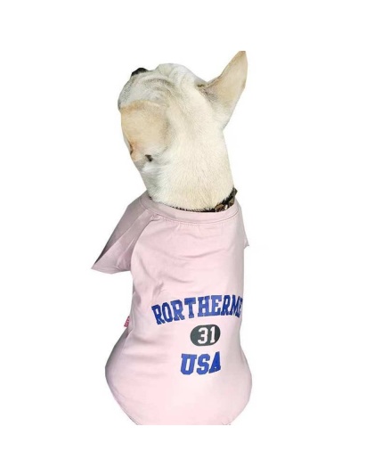 Pink - USA - Matching Pet and Owner Clothing Set -   Large