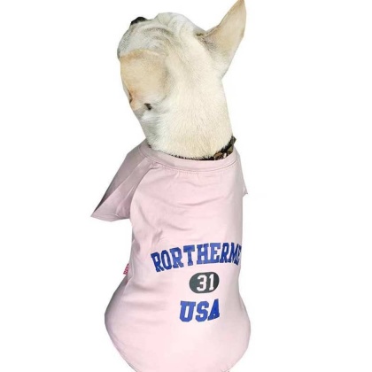 Pink - USA - Matching Pet and Owner Clothing Set -   Small