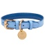 Ocean Vibes - Dog Collar  - Medium