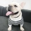 Black - Stripe Style - Matching Pet and Owner Clothing Set -   XL