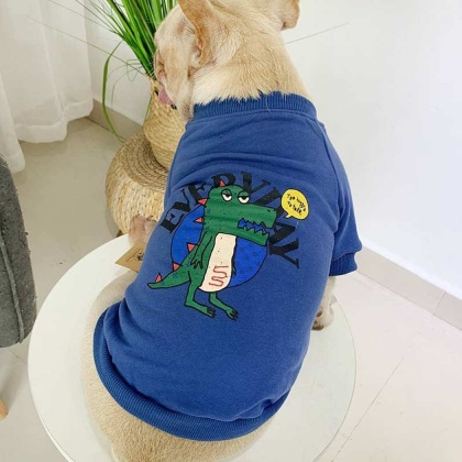 Blue - Everyday Dinosaur - Matching Pet and Owner Clothing Set -  Large