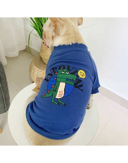 Blue - Everyday Dinosaur - Matching Pet and Owner Clothing Set -  Medium