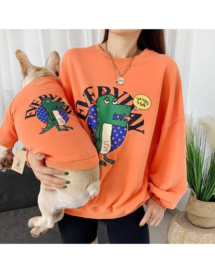 Orange - Everyday Dinosaur - Matching Pet and Owner Clothing Set -  Large