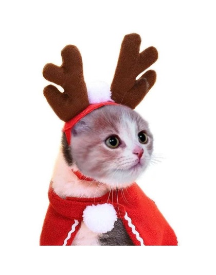 Merry Christmas Cloak for pets -